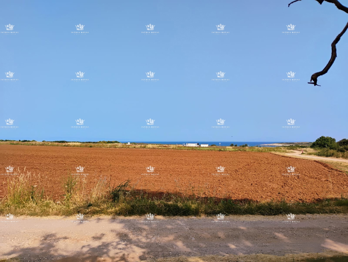 NAPRODAJO – KMETIJSKO ZEMLJIŠČE Z OLJČNIKOM 3674 m² OB MORJU – LIŽNJAN