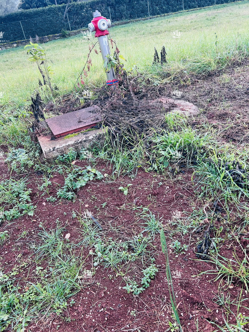 Umag, Juričani, gradbena parcela 900 m2, elektrika, voda, kanalizacija, stanovanjska raba, asfaltirana cesta