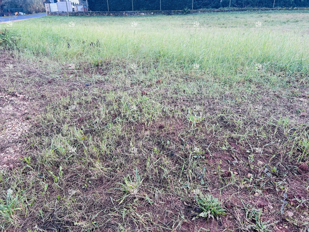 Umag, Juričani, gradbena parcela 900 m2, elektrika, voda, kanalizacija, stanovanjska raba, asfaltirana cesta