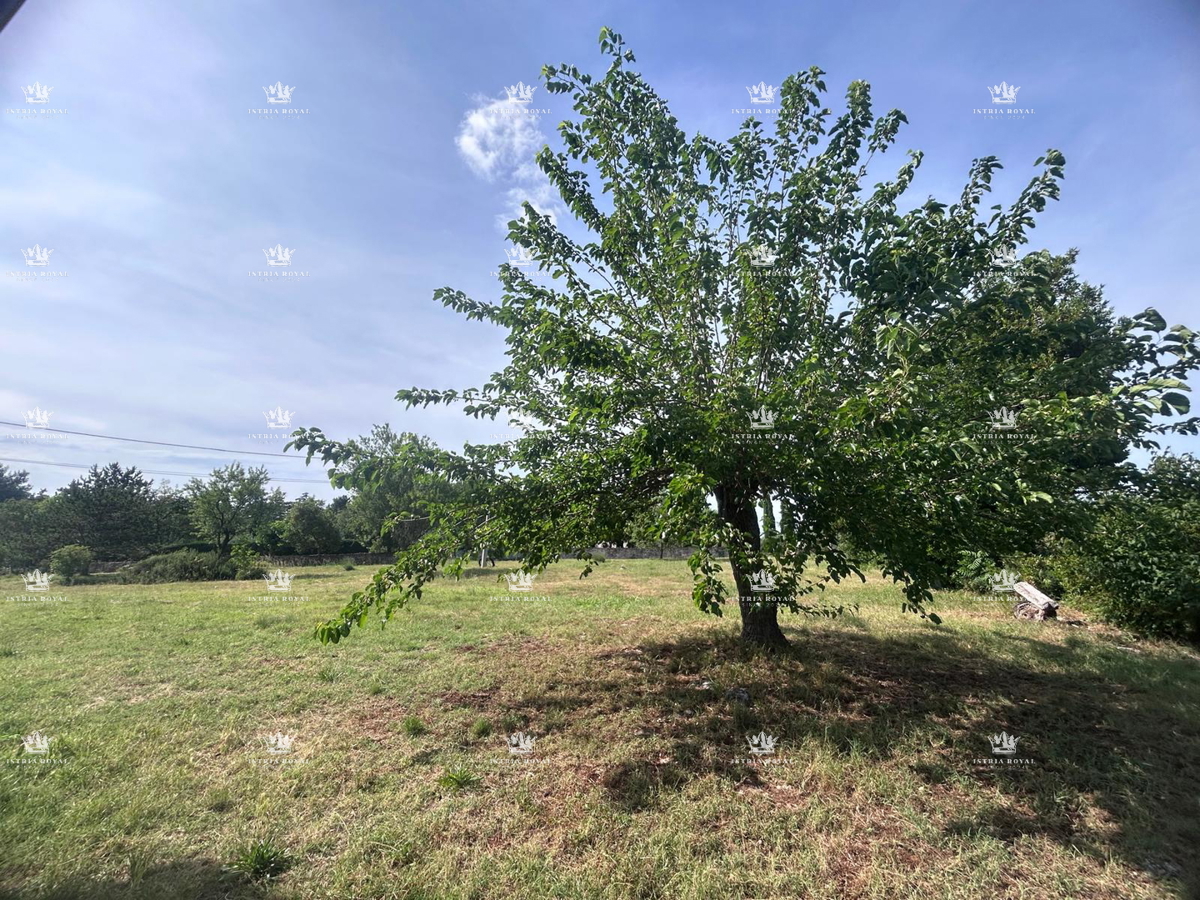 ISTRA – OBROBE BUJ PRODANO ČAROBNO IMANJE S POGLEDOM, 7500 m² ZEMLJIŠČA, 270 m² HIŠE + DVA GOSPODARSKA OBJEKTA