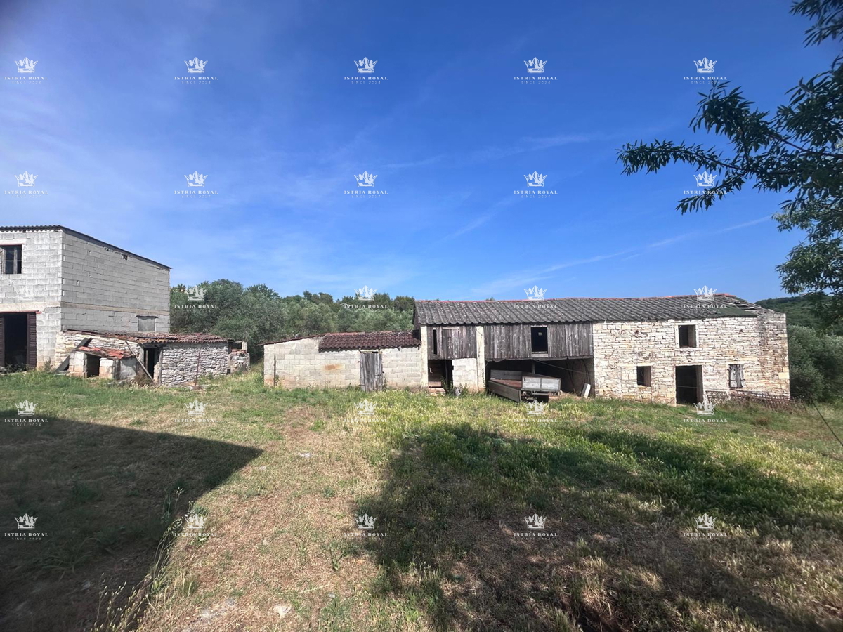 ISTRA – OBROBE BUJ PRODANO ČAROBNO IMANJE S POGLEDOM, 7500 m² ZEMLJIŠČA, 270 m² HIŠE + DVA GOSPODARSKA OBJEKTA