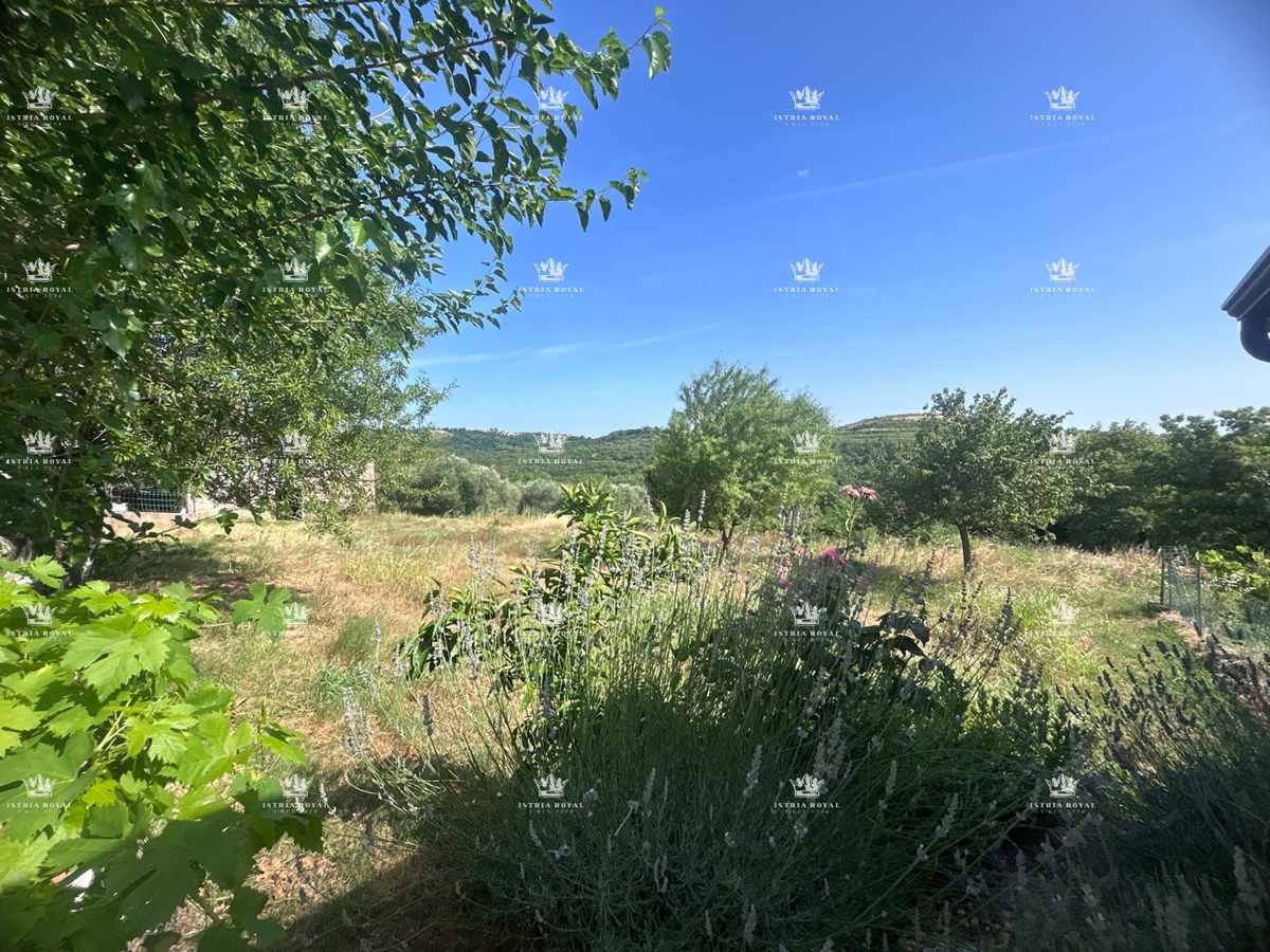 ISTRA – OBROBE BUJ PRODANO ČAROBNO IMANJE S POGLEDOM, 7500 m² ZEMLJIŠČA, 270 m² HIŠE + DVA GOSPODARSKA OBJEKTA