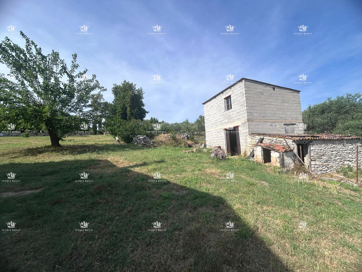 ISTRA – OBROBE BUJ PRODANO ČAROBNO IMANJE S POGLEDOM, 7500 m² ZEMLJIŠČA, 270 m² HIŠE + DVA GOSPODARSKA OBJEKTA