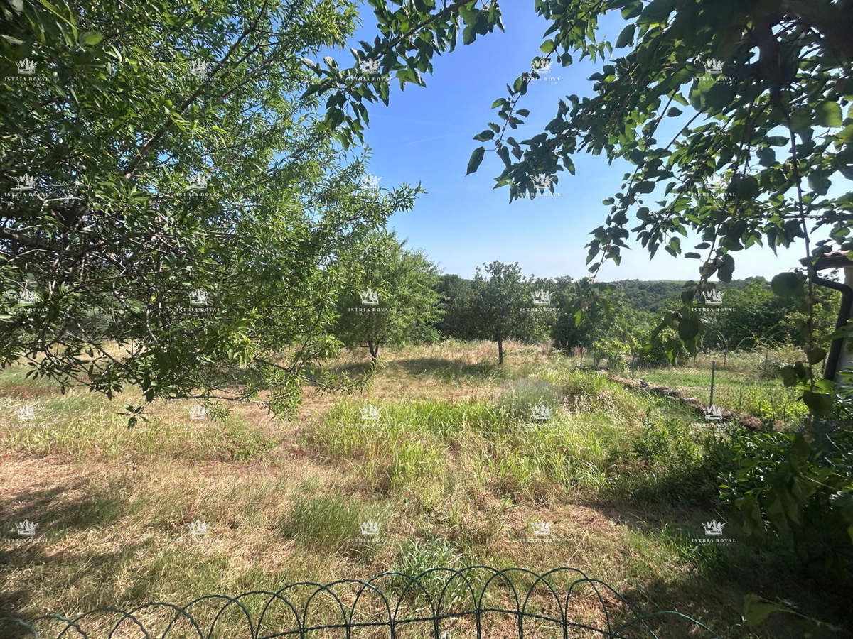 ISTRA – OBROBE BUJ PRODANO ČAROBNO IMANJE S POGLEDOM, 7500 m² ZEMLJIŠČA, 270 m² HIŠE + DVA GOSPODARSKA OBJEKTA