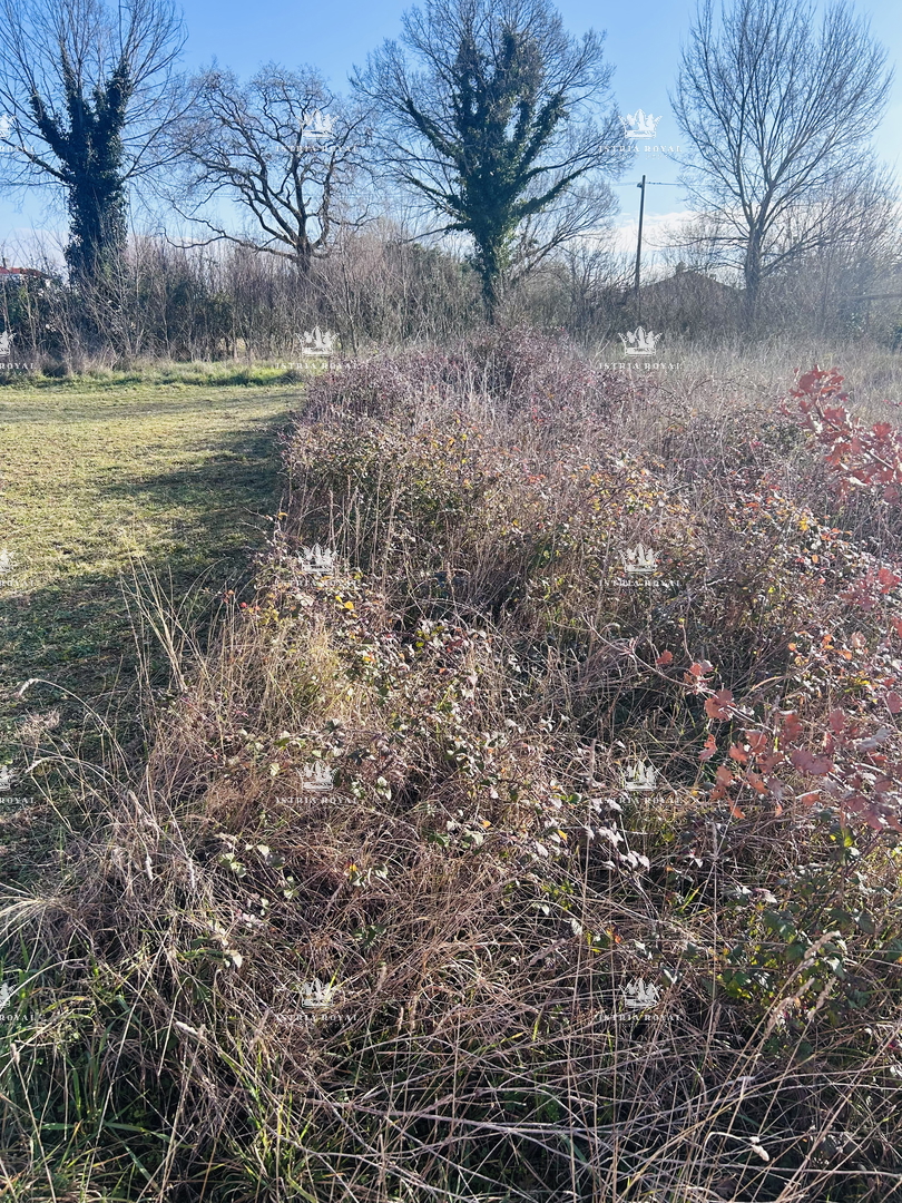 Istra, okolica Lovrečica, gradbena parcela 390 m2
