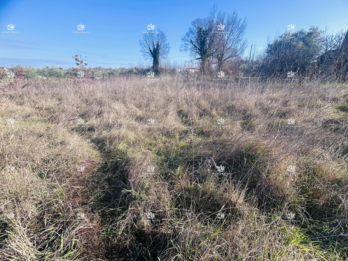 Istra, okolica Lovrečica, gradbena parcela 390 m2