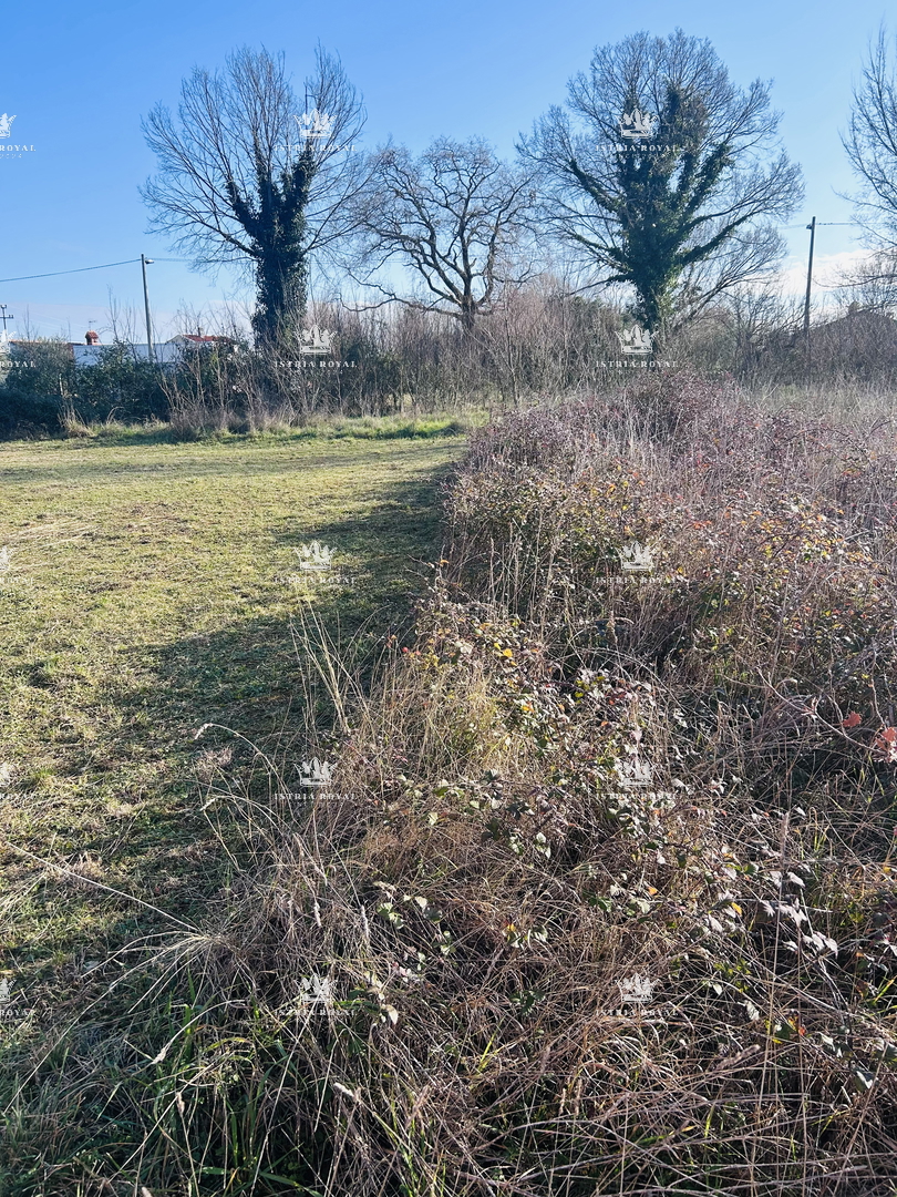 Istra, okolica Lovrečica, gradbena parcela 390 m2