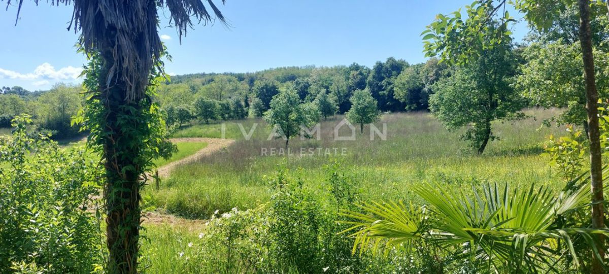 Legalizirana hiša na parceli velikosti 3.520 m²