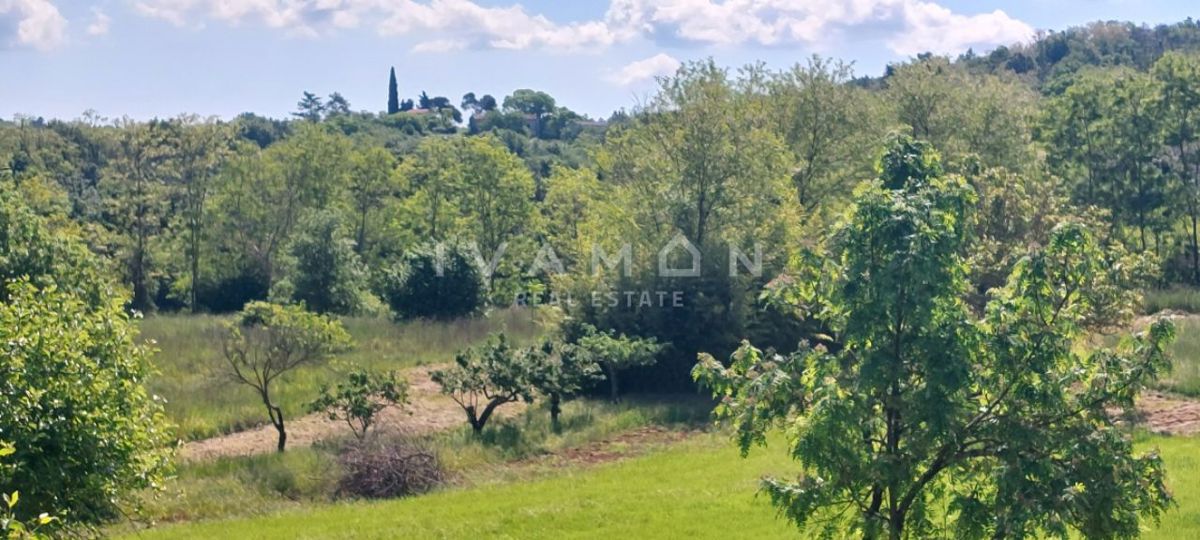 Legalizirana hiša na parceli velikosti 3.520 m²