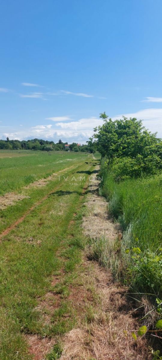 Legalizirana hiša na parceli velikosti 3.520 m²