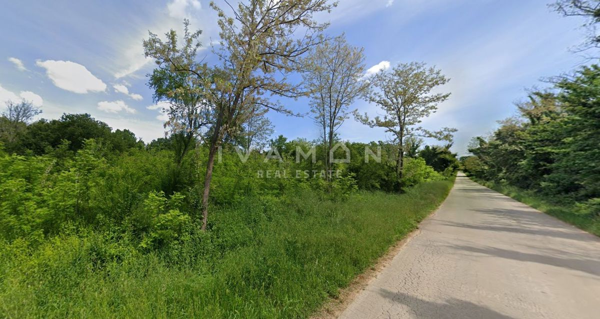 Čudovito kmetijsko zemljišče ob cesti, 9.317 m²