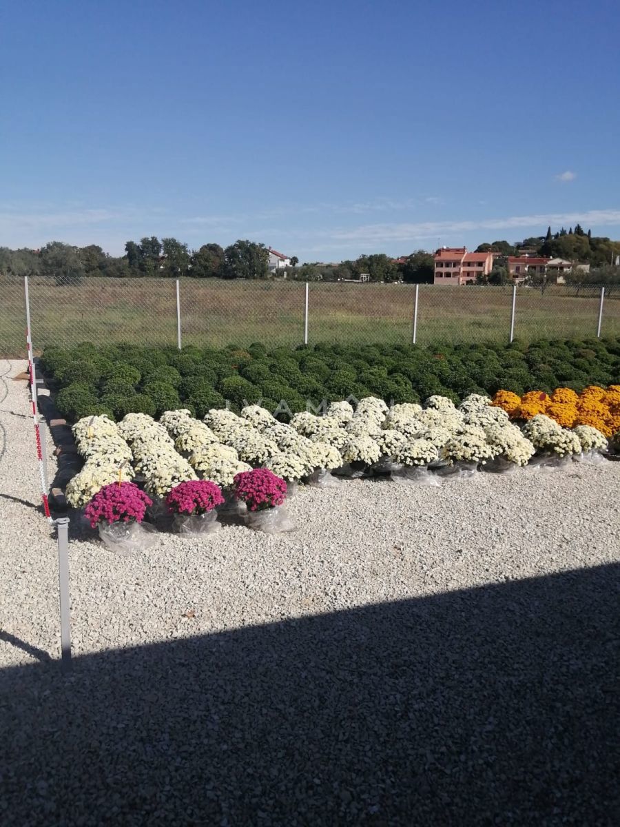 Kmetijsko zemljišče s 3 rastlinjaki