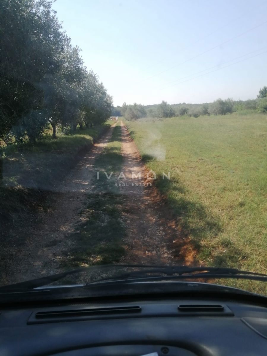 Kmetijsko zemljišče s 3 rastlinjaki