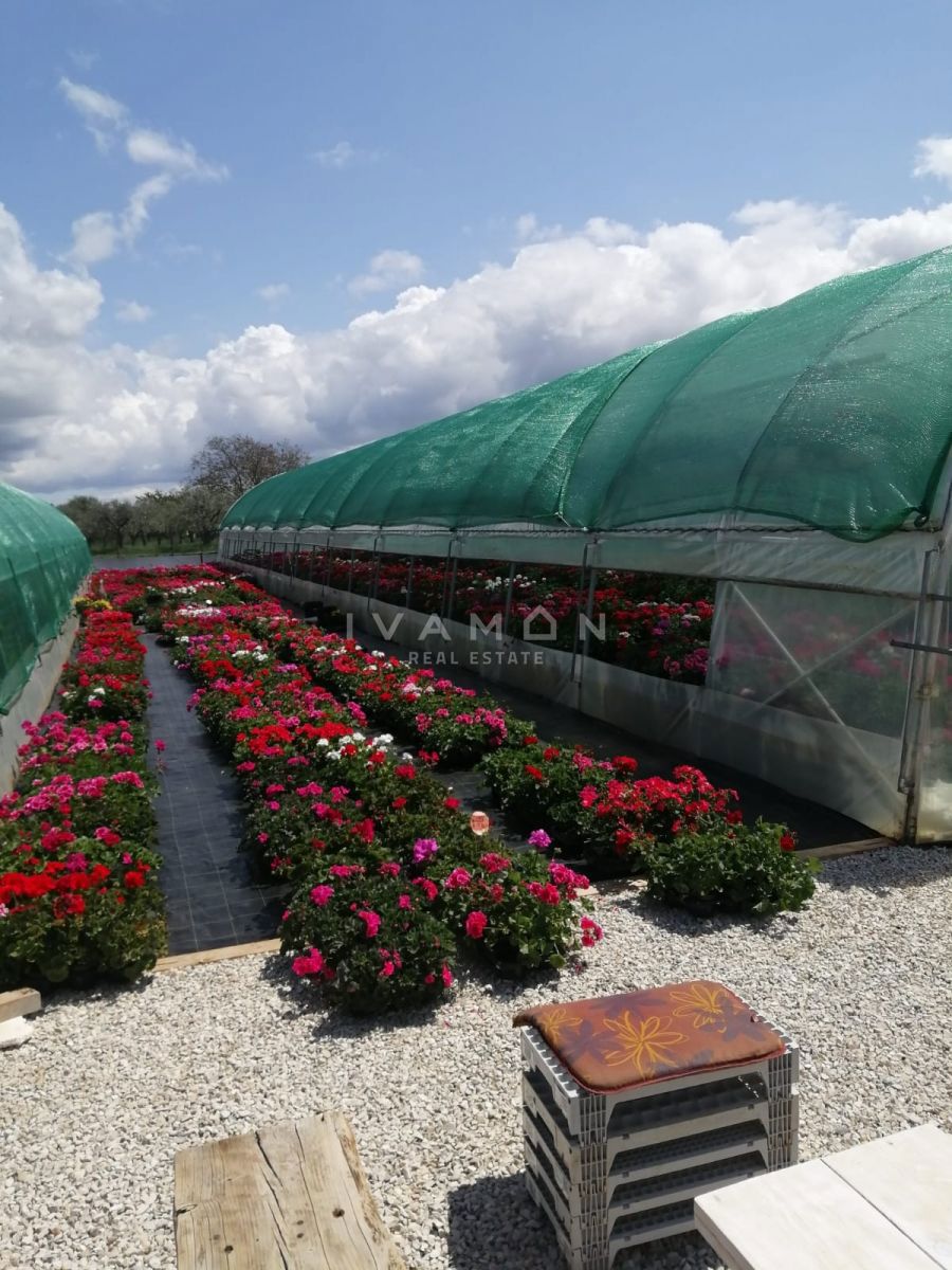 Kmetijsko zemljišče s 3 rastlinjaki