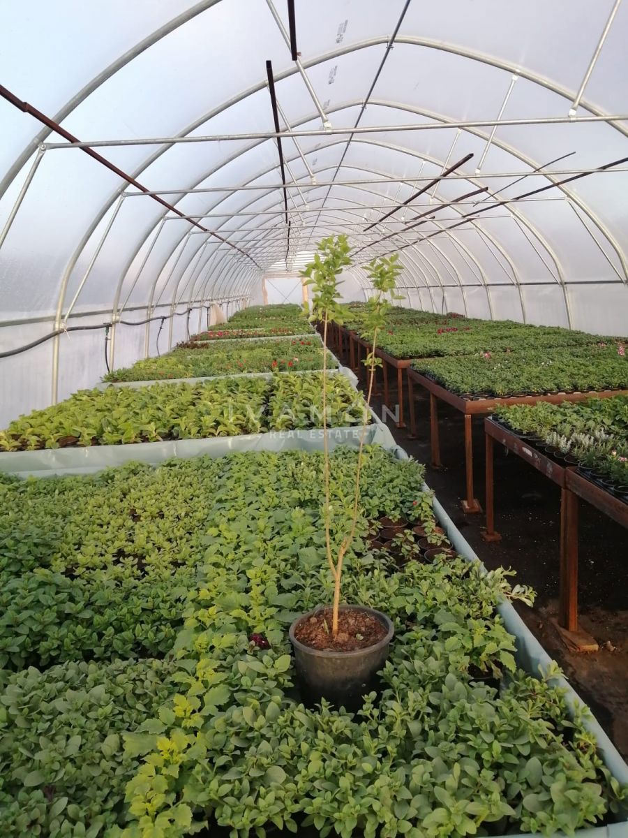 Kmetijsko zemljišče s 3 rastlinjaki