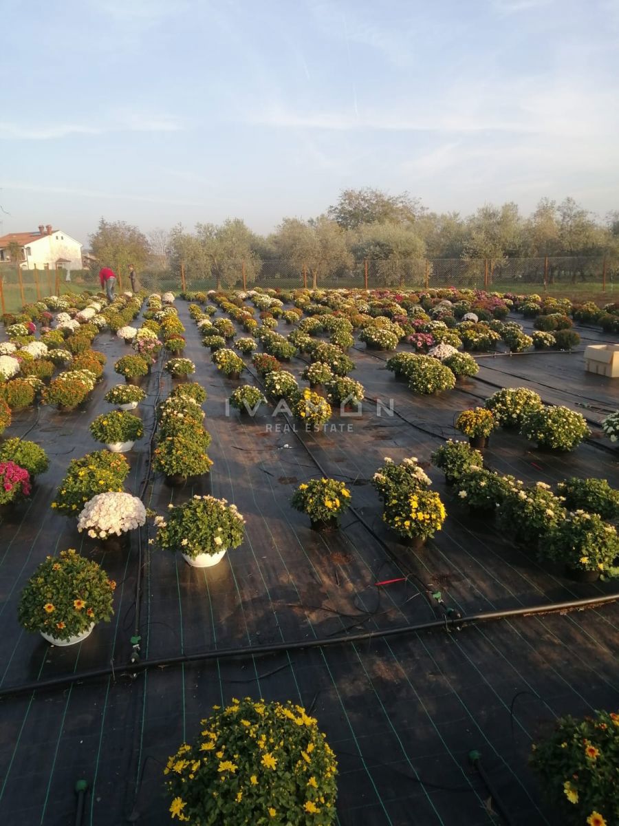 Kmetijsko zemljišče s 3 rastlinjaki