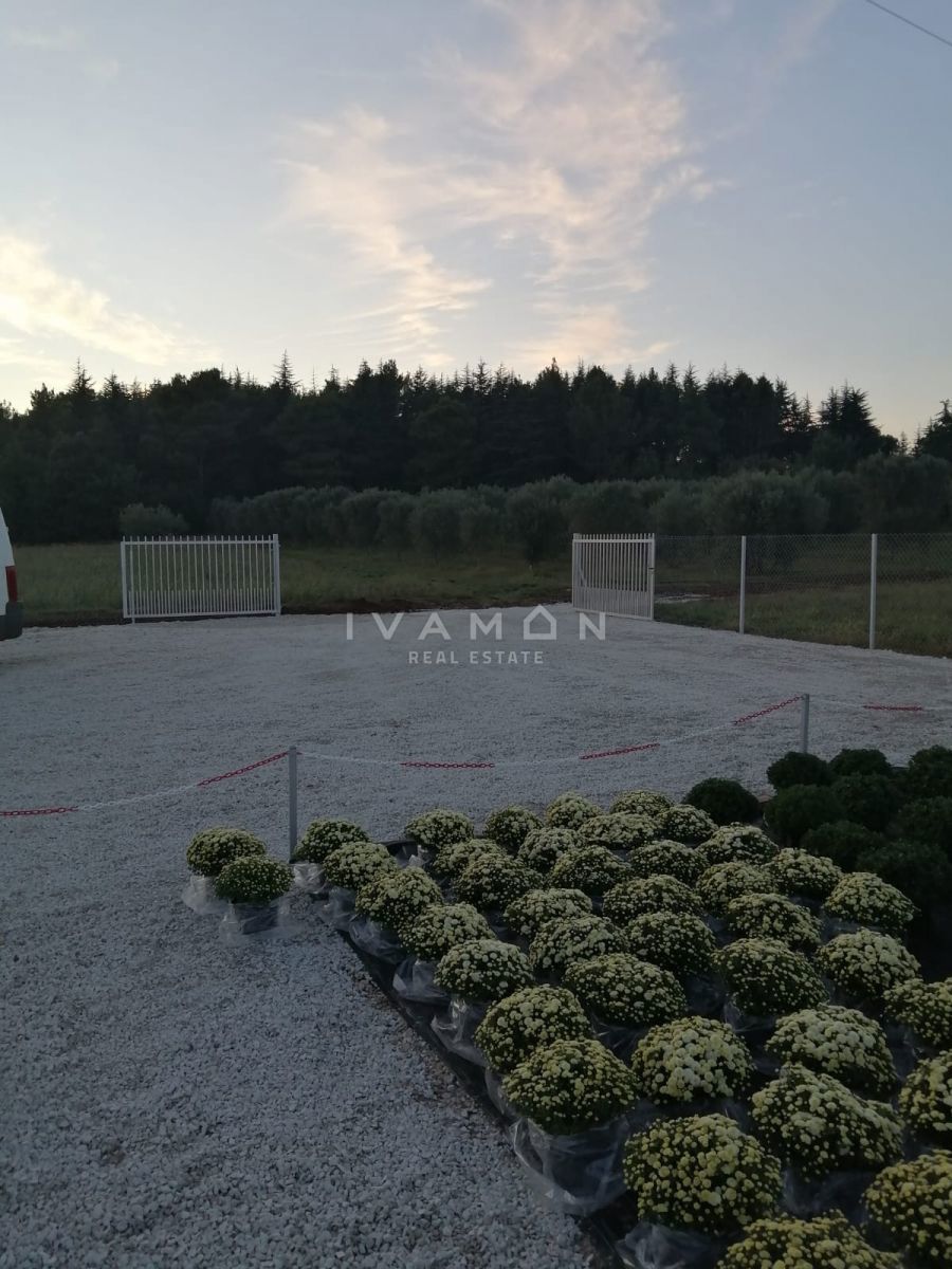 Kmetijsko zemljišče s 3 rastlinjaki