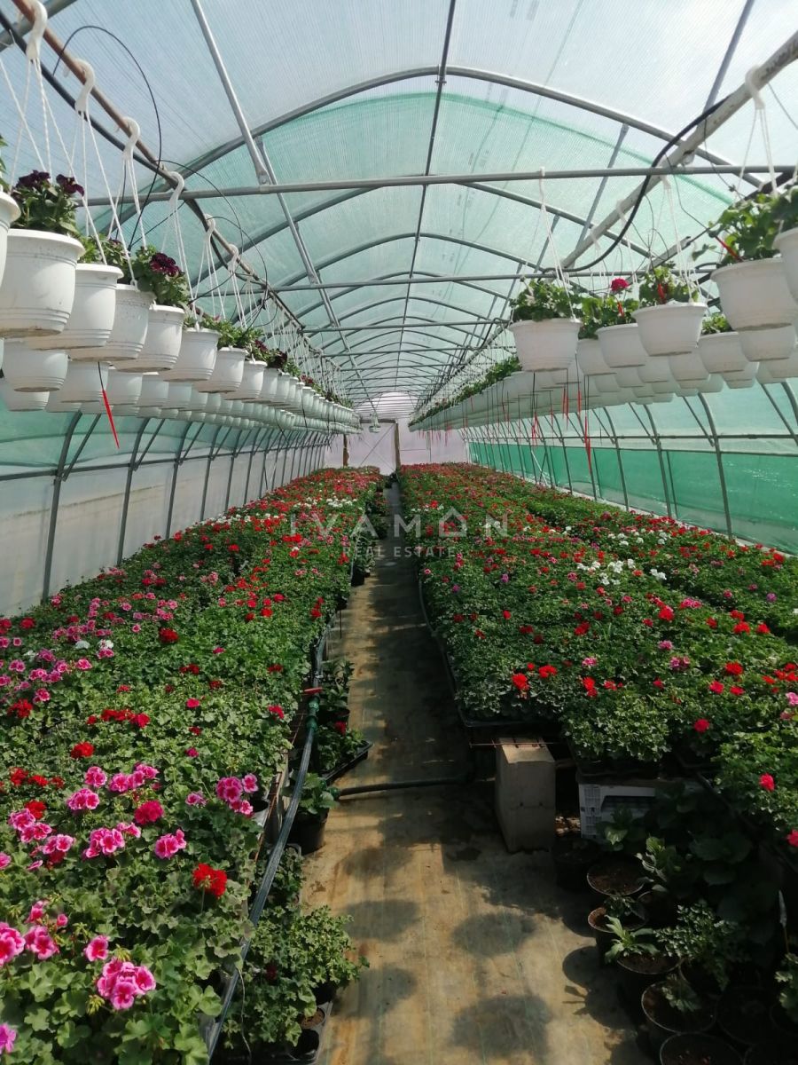 Kmetijsko zemljišče s 3 rastlinjaki