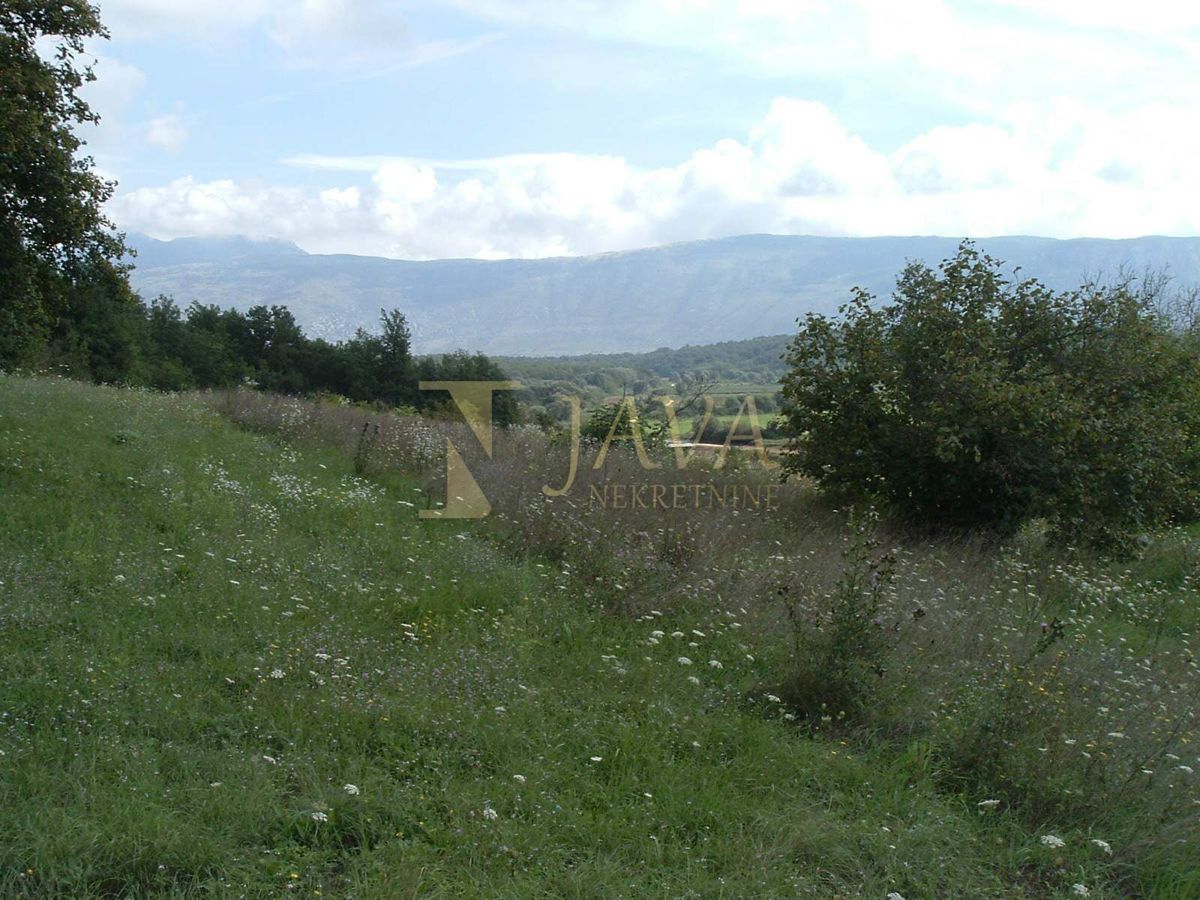 Polje Čepić, Kršan, 35.000m2