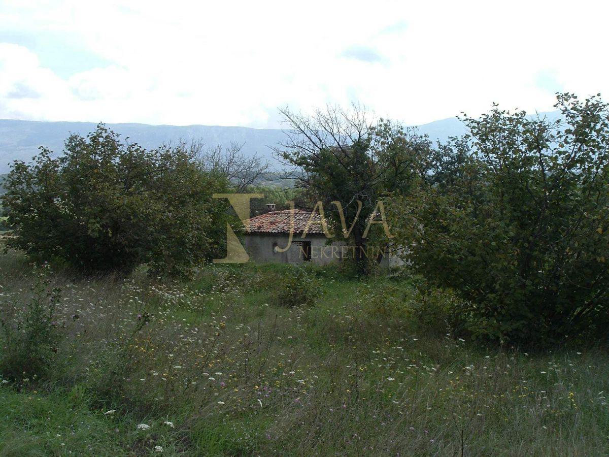 Polje Čepić, Kršan, 35.000m2