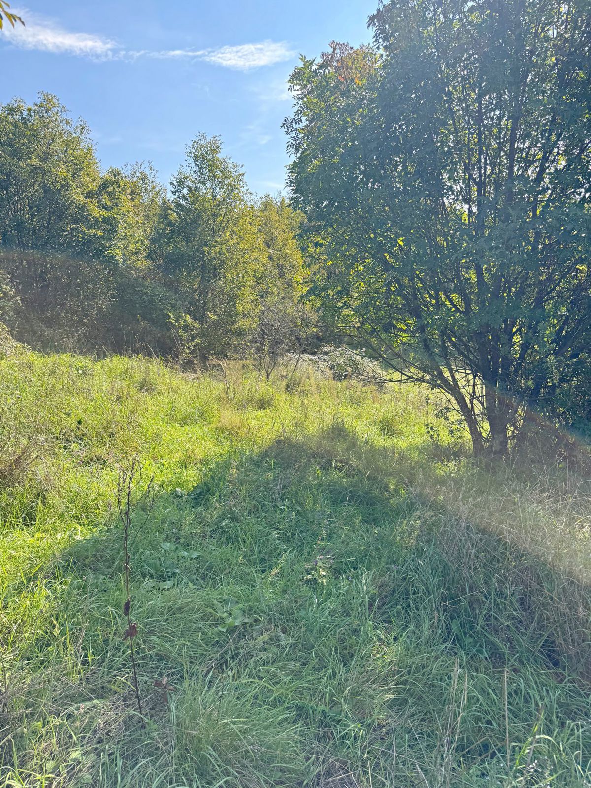 Zemljišče Sroki, Viškovo, 1.007m2