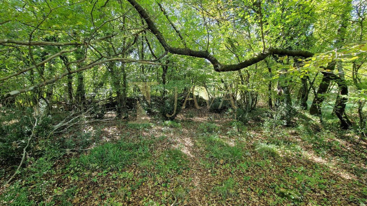 Zemljišče Čavle, 5.292m2