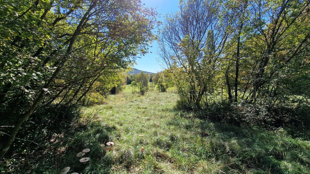 Zemljišče Čavle, 5.292m2