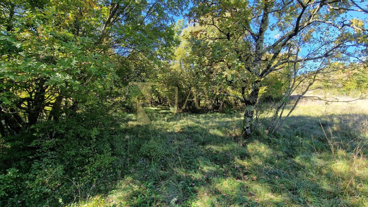 Zemljišče Čavle, 5.292m2