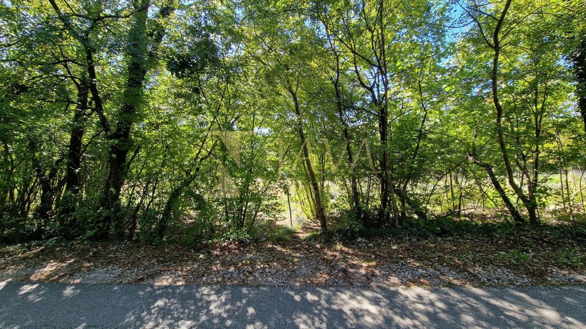 Zemljišče Čavle, 5.292m2