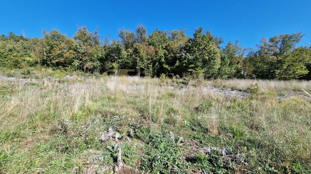 Zemljišče Čavle, 5.292m2