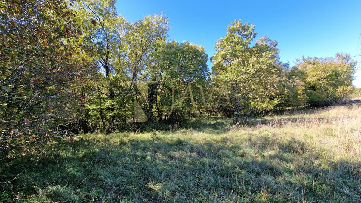 Zemljišče Čavle, 5.292m2