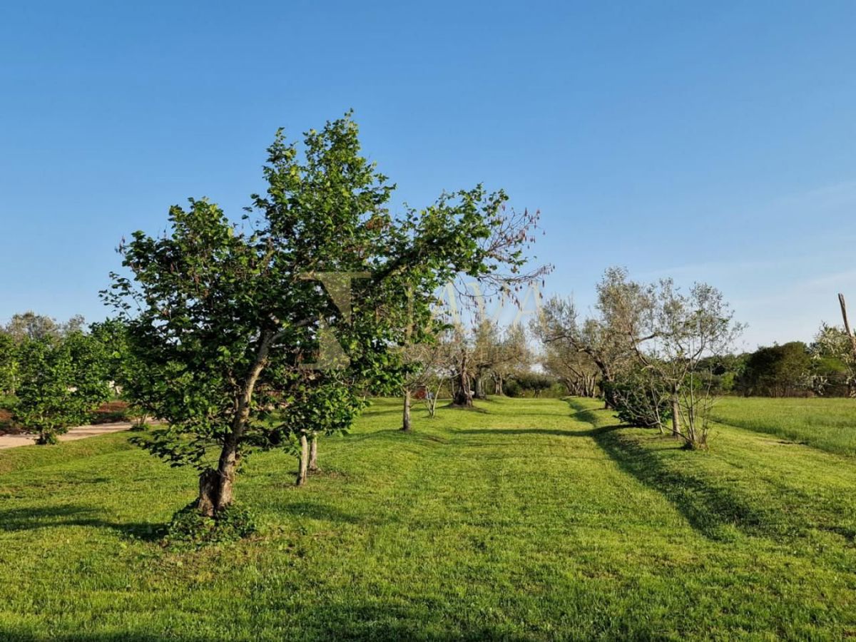 Hiša Materada, Umag, 143m2