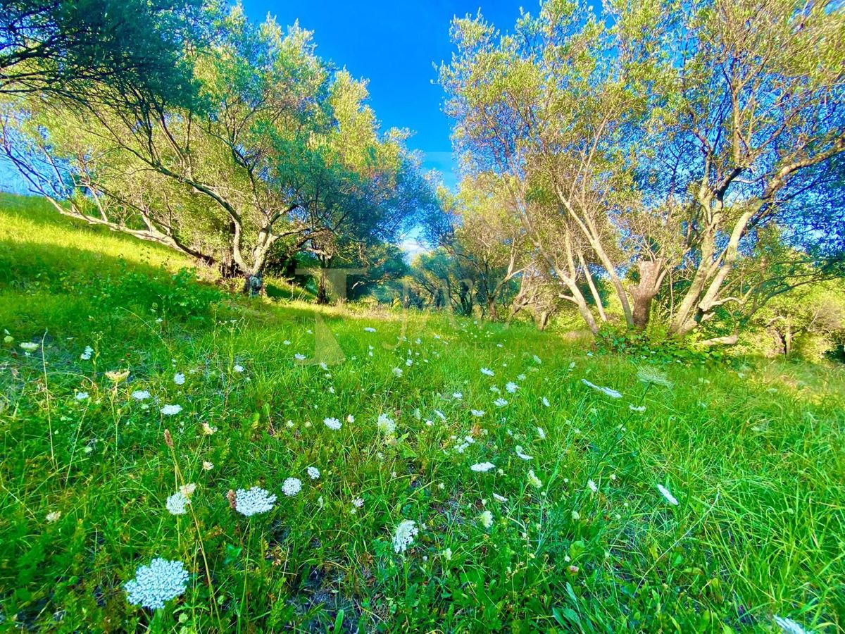 Hiša Draguć, Cerovlje, 230m2