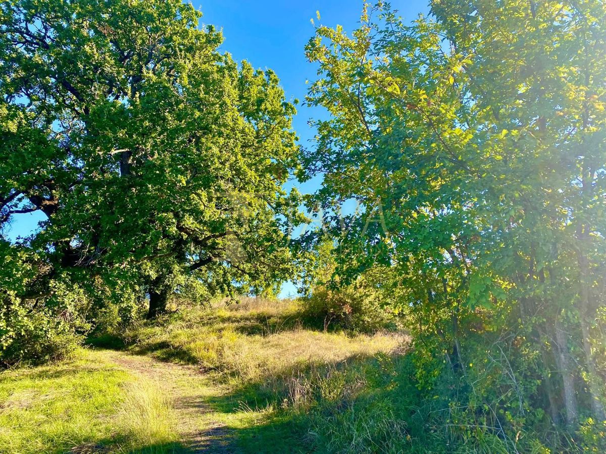 Hiša Draguć, Cerovlje, 230m2