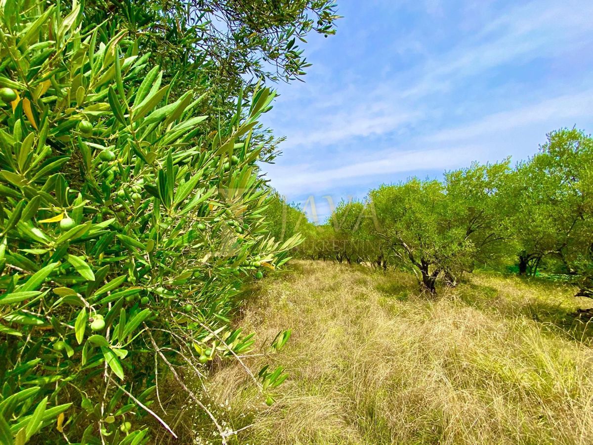 Zemljišče Draguć, Cerovlje, 2.257m2