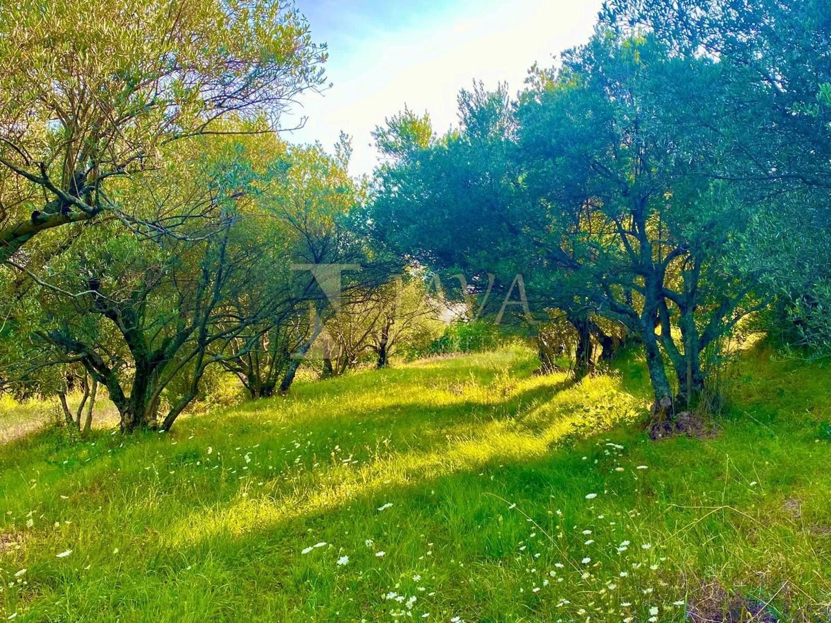 Zemljišče Draguć, Cerovlje, 2.257m2