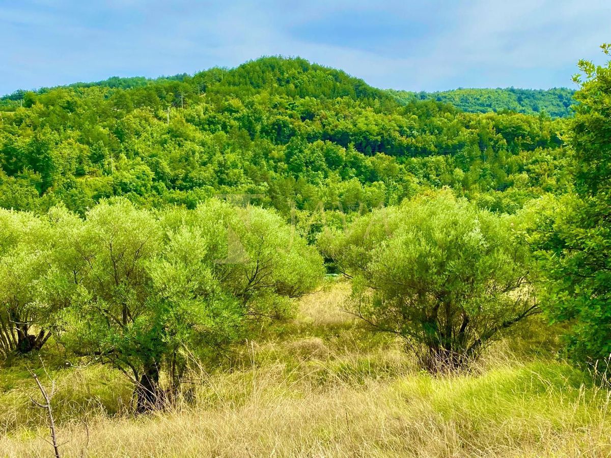 Zemljišče Draguć, Cerovlje, 2.257m2