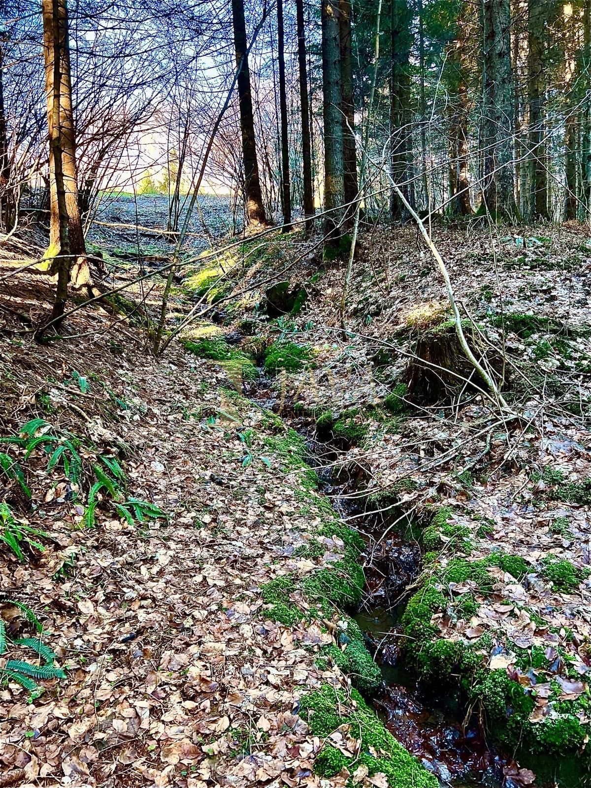 Zemljišče Hlevci, Skrad, 12.500m2