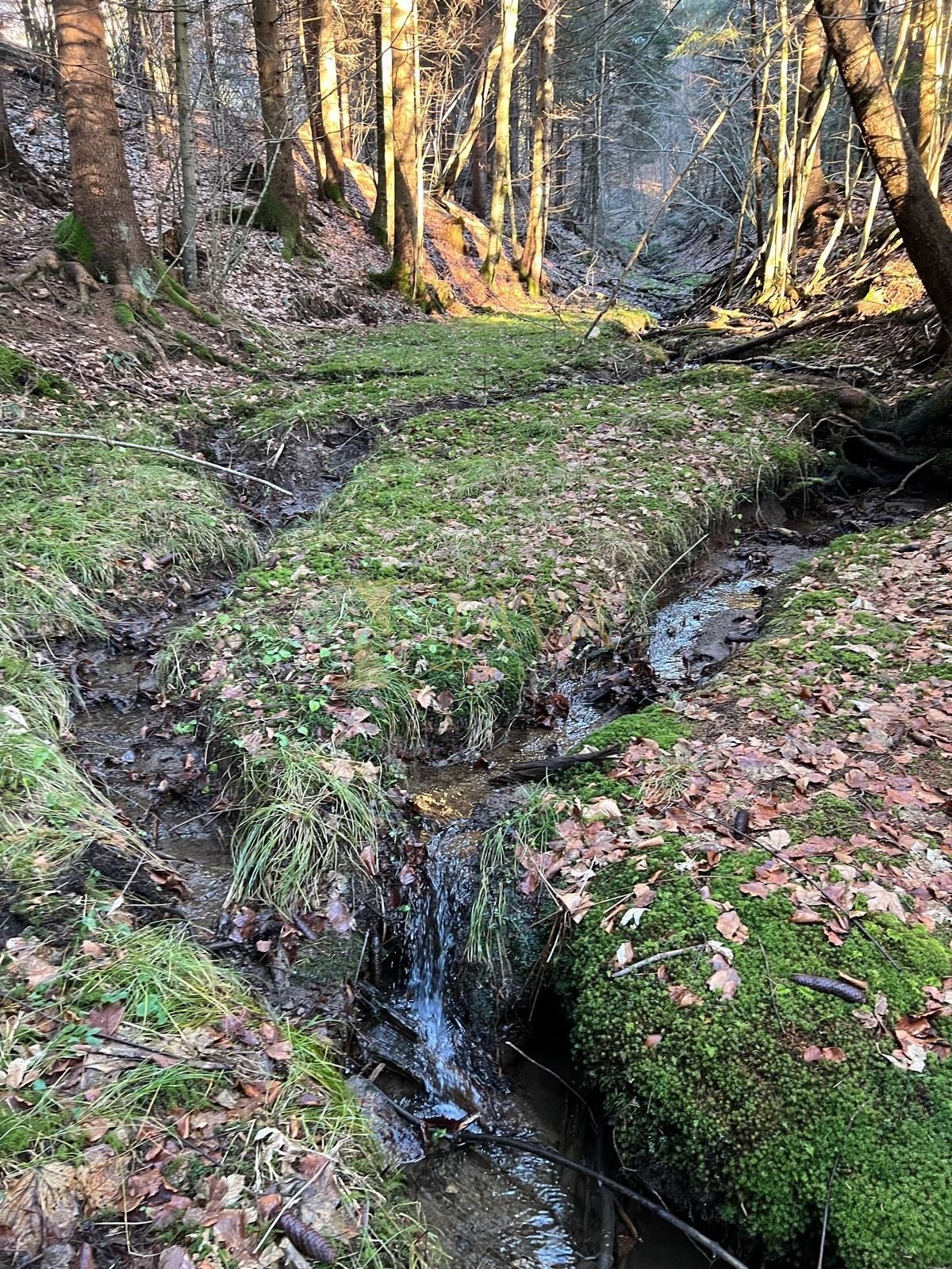 Zemljišče Hlevci, Skrad, 12.500m2