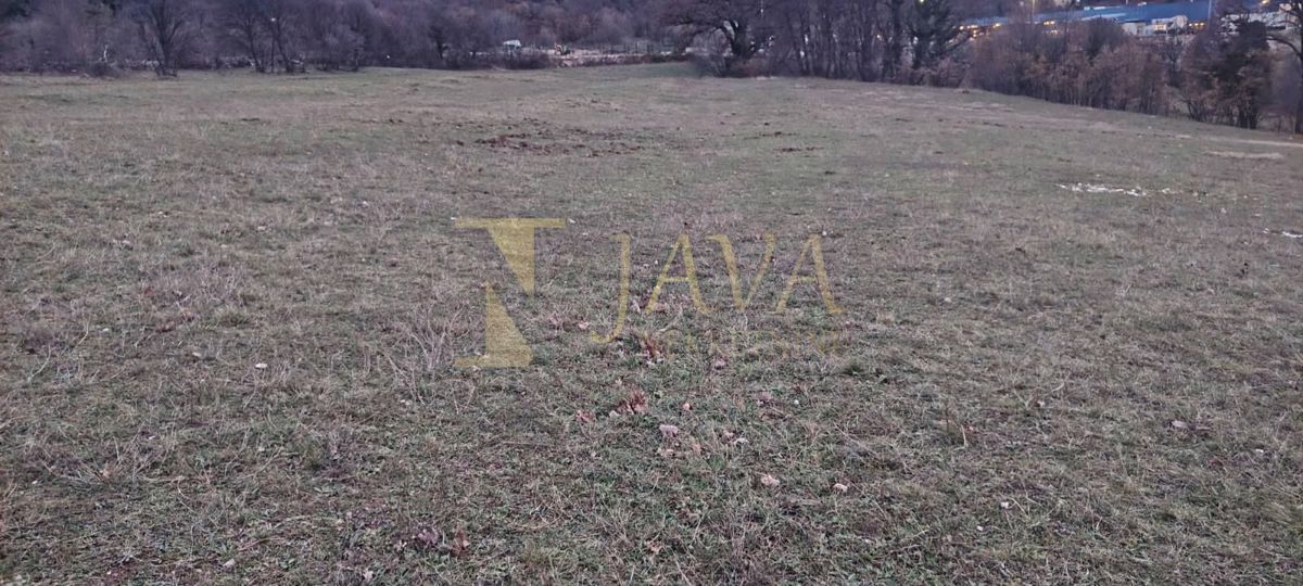 Zemljišče Čavle, 11.500m2