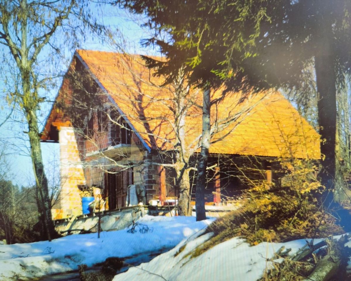 Hiša Crni Lug, Delnice, 186m2