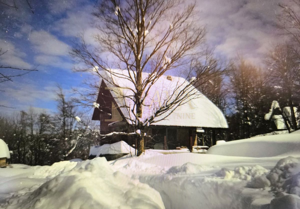 Hiša Crni Lug, Delnice, 186m2