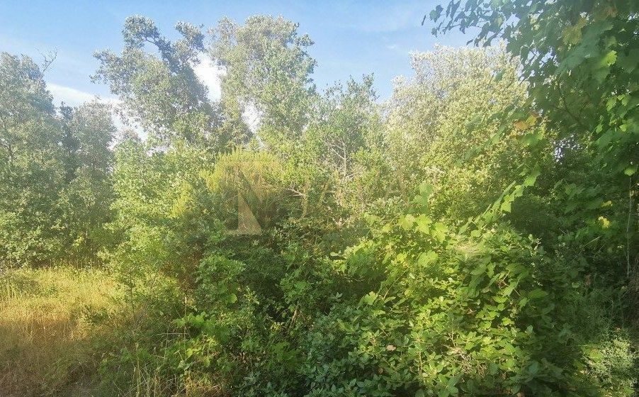 Zemljišče Kastav, 7.000m2