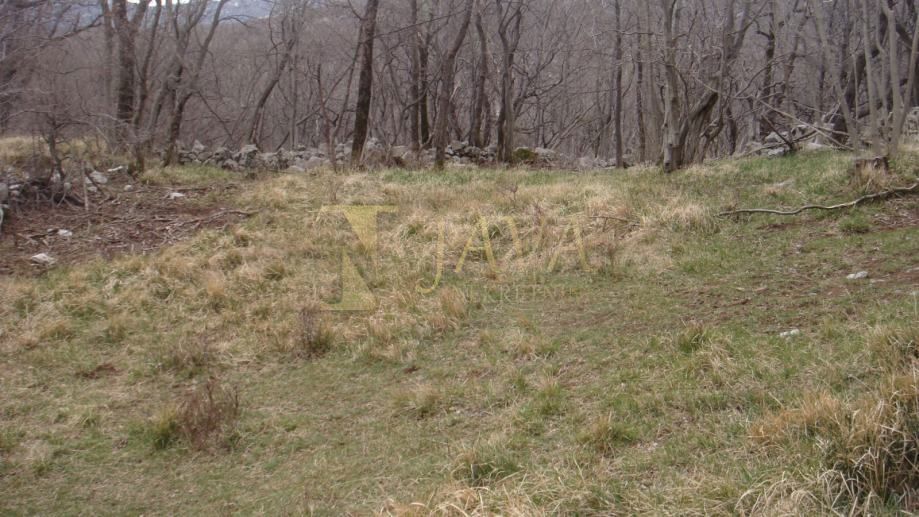 Zemljišče Podhum, Jelenje, 6.400m2