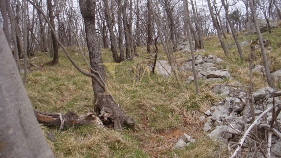 Zemljišče Podhum, Jelenje, 6.400m2