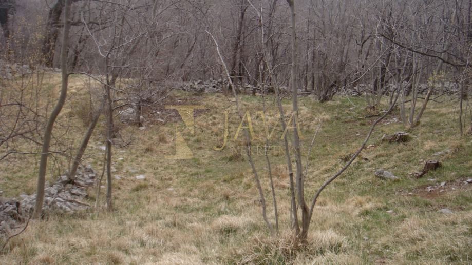 Zemljišče Podhum, Jelenje, 6.400m2