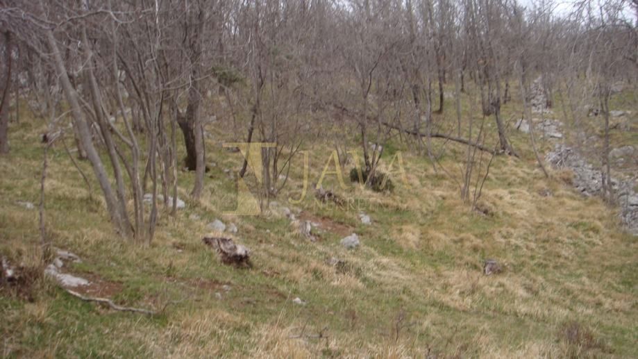 Zemljišče Podhum, Jelenje, 6.400m2