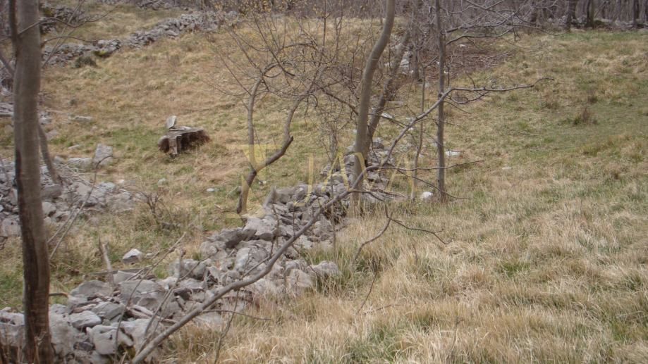 Zemljišče Podhum, Jelenje, 6.400m2