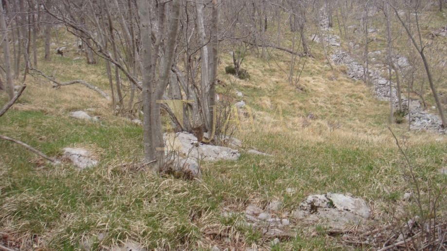 Zemljišče Podhum, Jelenje, 6.400m2