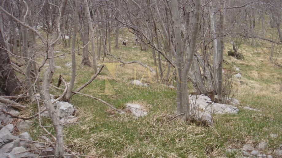 Zemljišče Podhum, Jelenje, 6.400m2